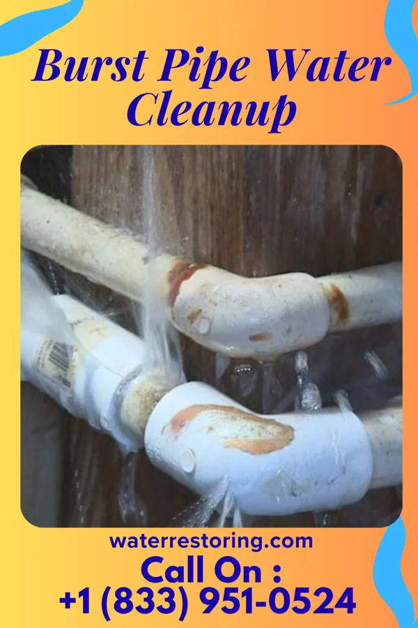Burst Pipe Water Cleanup in Doddsville, MS