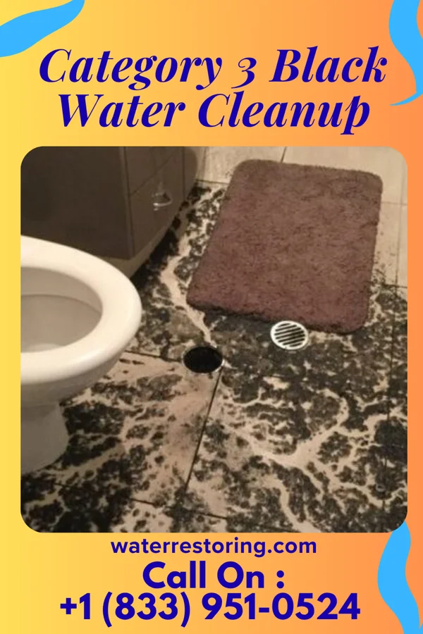 Category 3 Black Water Cleanup in Doddsville, MS