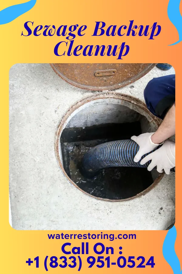 Sewage Backup Cleanup in Doddsville, MS