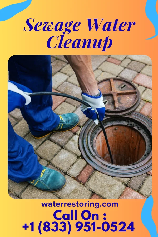 Sewage Water Cleanup in Doddsville, MS